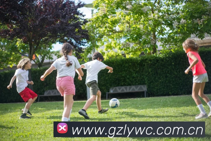 ac米兰最新官网APP 封面图